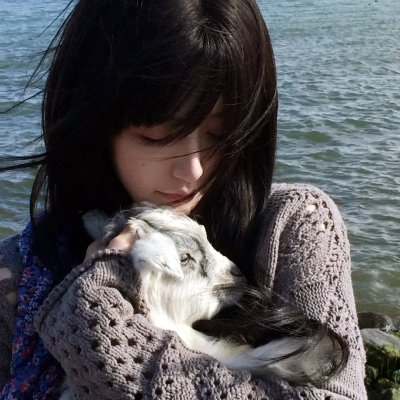 爱情迷踪 海报